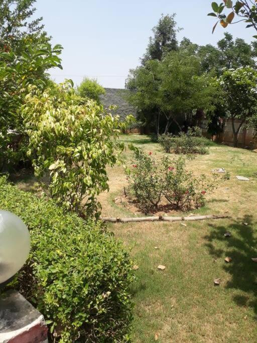 Achal Farm जंगल में मंगल Gurgaon Exterior foto