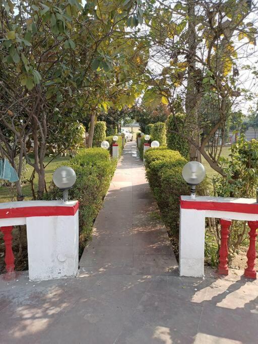 Achal Farm जंगल में मंगल Gurgaon Exterior foto