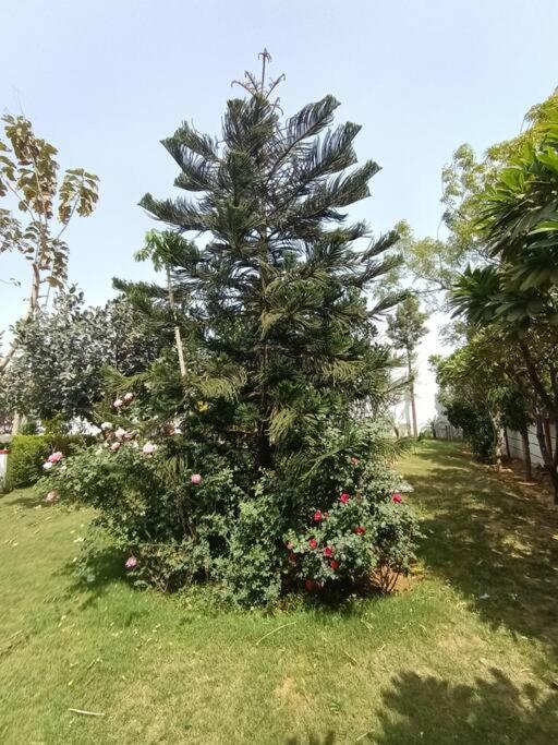Achal Farm जंगल में मंगल Gurgaon Exterior foto