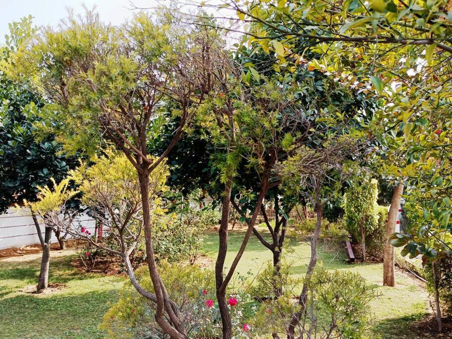 Achal Farm जंगल में मंगल Gurgaon Exterior foto